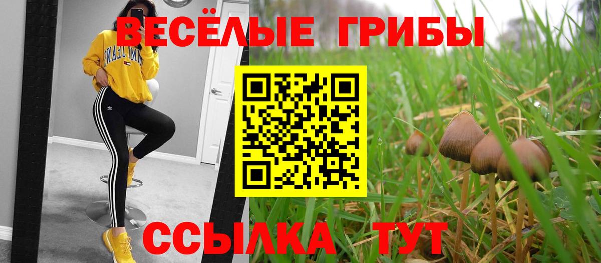 Медногорск  Галлюциногенные грибы Magic Shrooms  Вход с VPN 