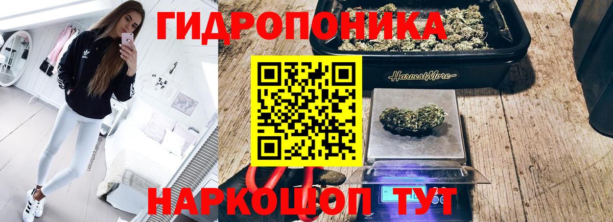 Канабис AK-47  Вход с VPN  Медногорск  Марихуана план  Марихуана White Widow  Бошки марихуана SATIVA & INDICA 